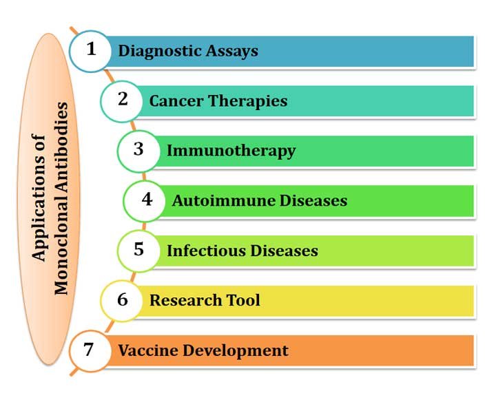 Application of Monoclonal Antibodies EasyBiologyClass