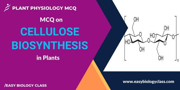 MCQ on Cellulose Synthesis