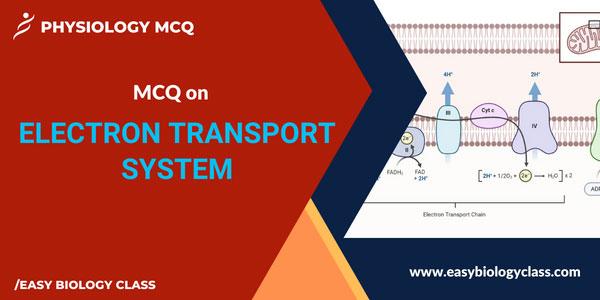 MCQ on Electron Transport System
