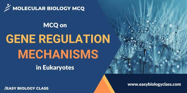 MCQ on Regulation of Gene Expression