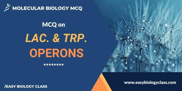 MCQ on lac and trp operon