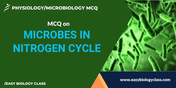 MCQ on Microbes in Nitrogen Cycle