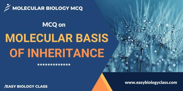 MCQ on Molecular Basis of Inheritance