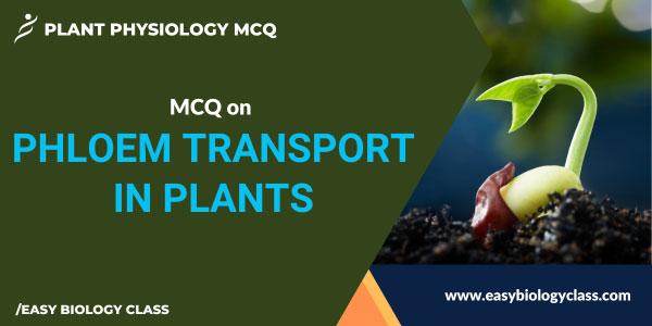 MCQ on Phloem Transport in Plants