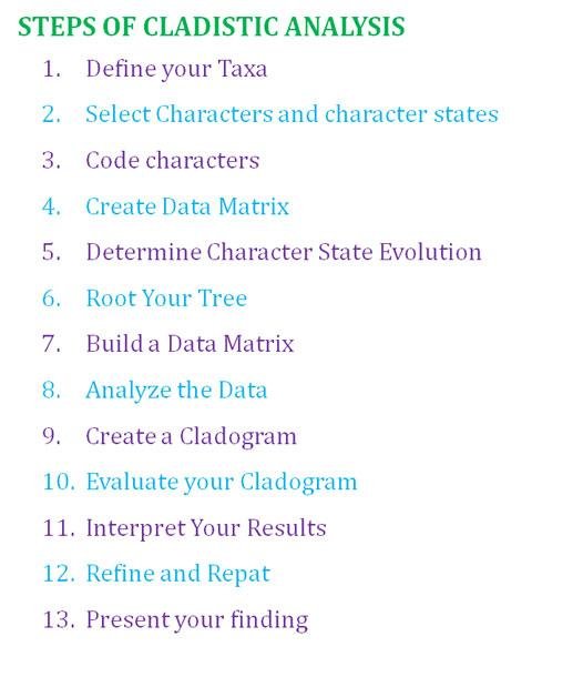 methodology of cladistics