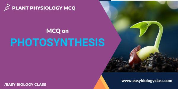 Photosynthesis in Higher Plants MCQ
