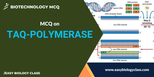 Taq Polymerase is Used in PCR because of Its MCQ