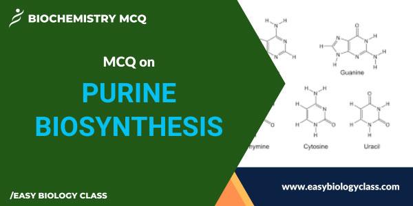 MCQ on Purine Synthesis