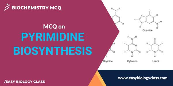 MCQ on Pyrimidine Synthesis