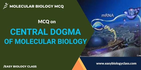 MCQ on Central Dogma of Molecular Biology