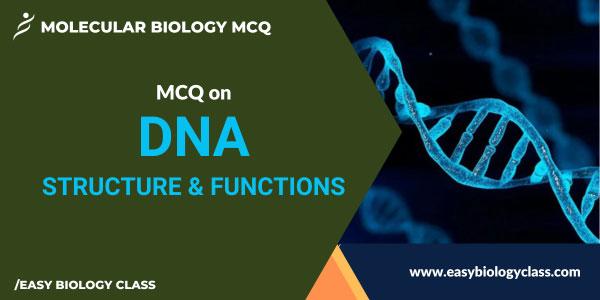 MCQ on DNA Structure