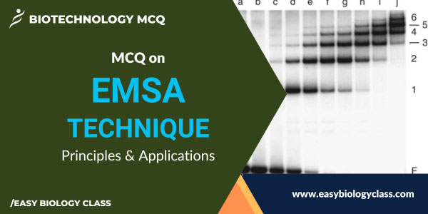 MCQ on EMSA Principles and Applications