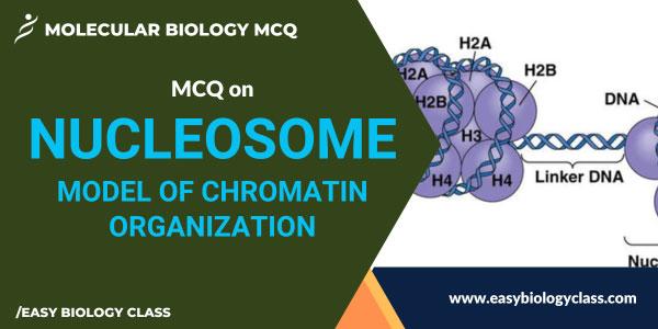 MCQ on Nucleosome Model