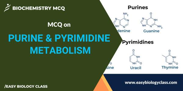 MCQ on Purine and Pyrimidine Metabolism