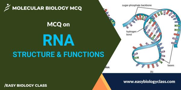 MCQ on RNA