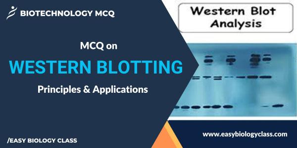 MCQ on Western Blotting
