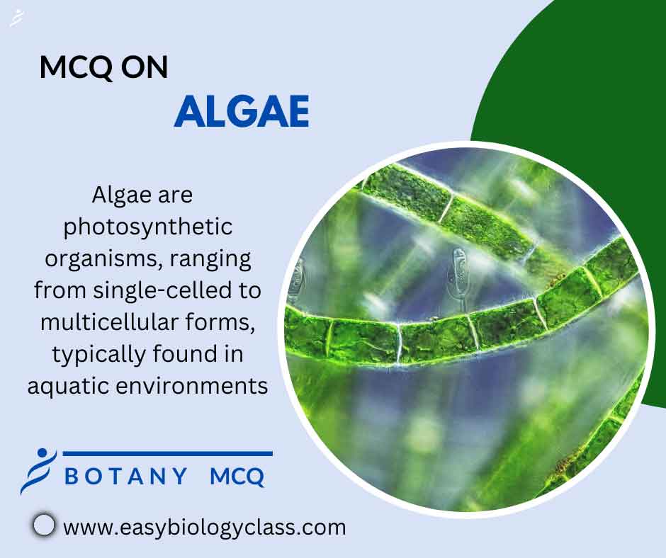 mcq on algae