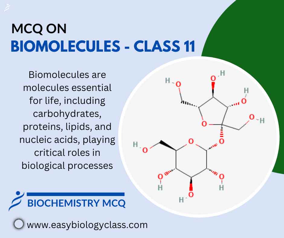 MCQ on Biomolecules Class 11