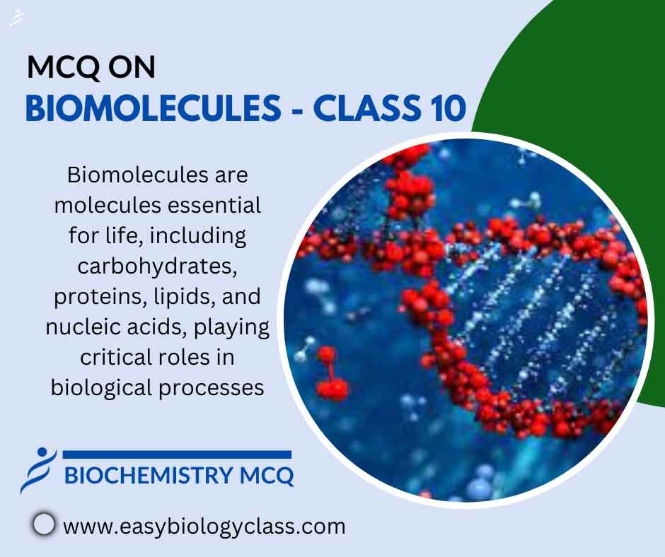 Biomolecules Class 11 MCQ EasyBiologyClass
