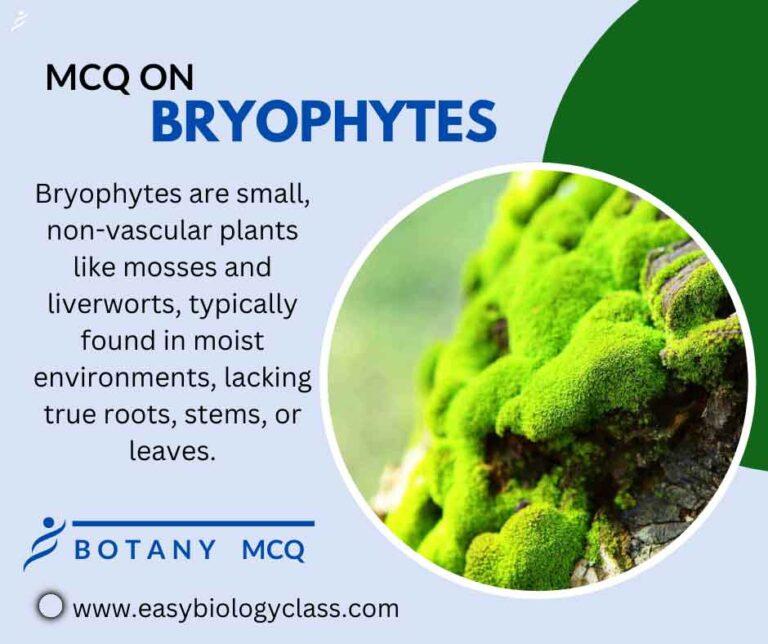 mcq on bryophytes