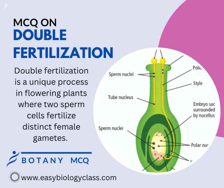 mcq on double fertilization