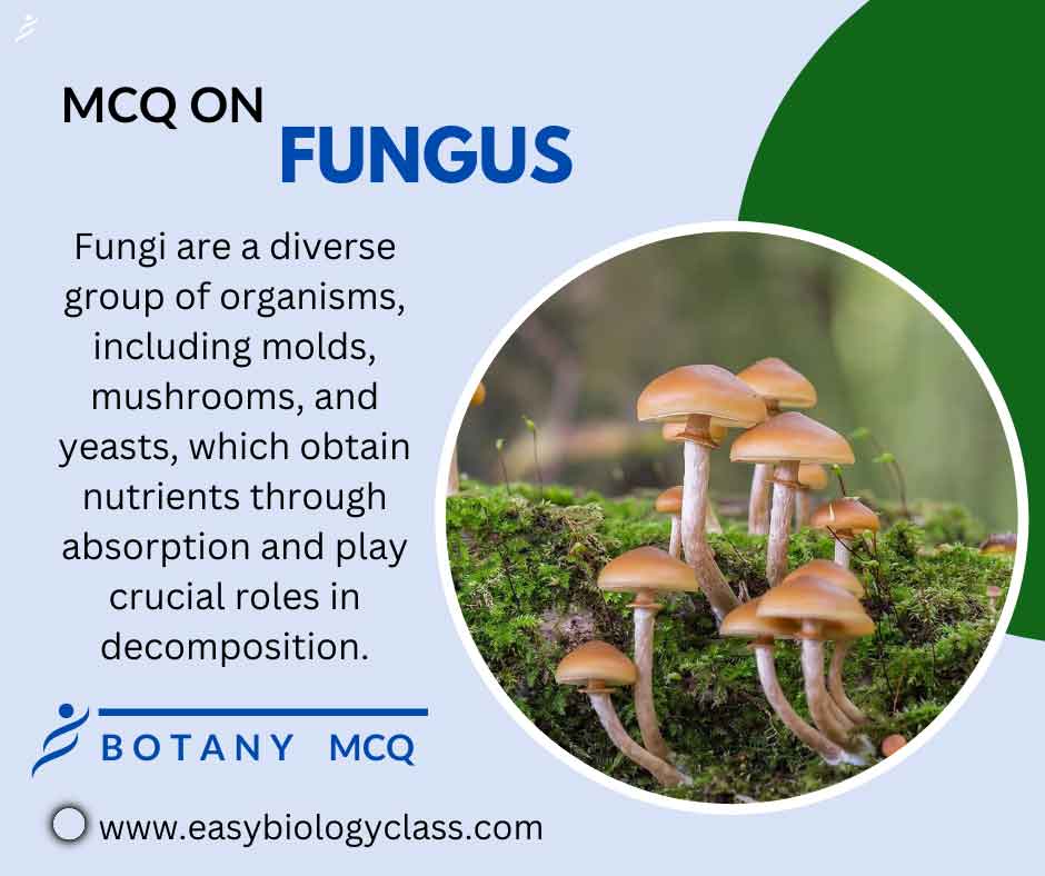 mcq on fungi