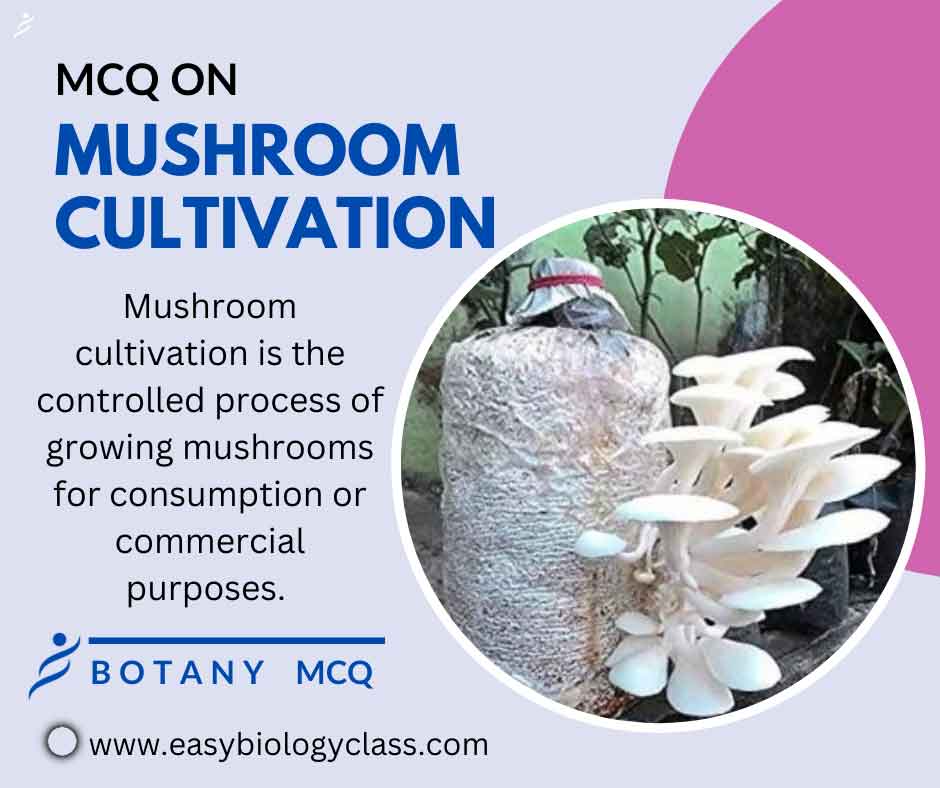 mcq on mushroom cultivation