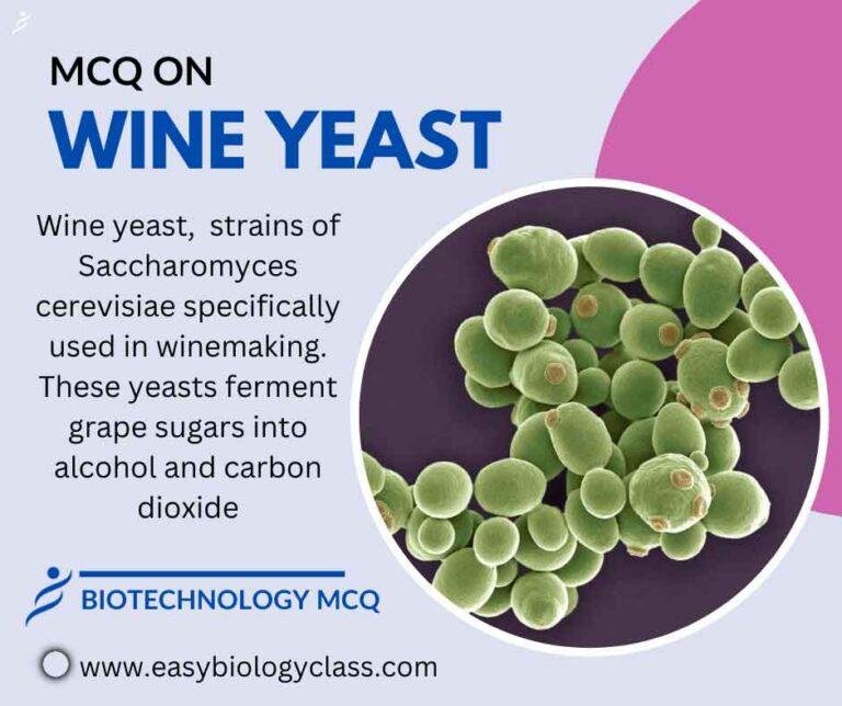 Wine Yeast MCQ | EasyBiologyClass