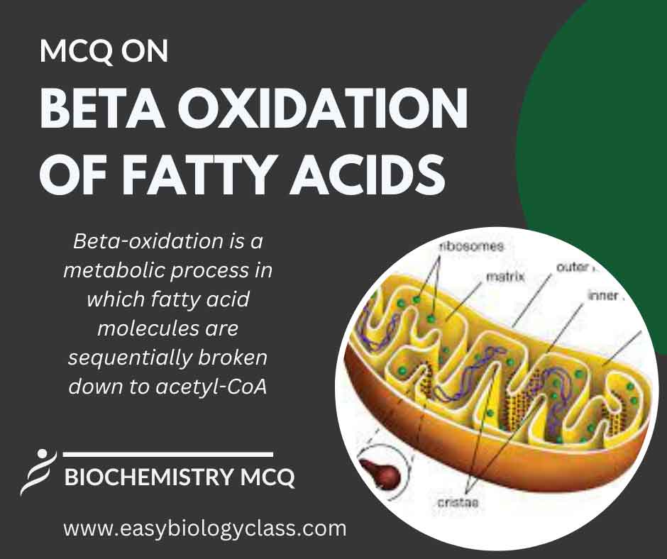MCQs on Beta Oxidation of Fatty Acids