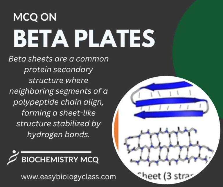 Secondary Structure of Proteins EasyBiologyClass