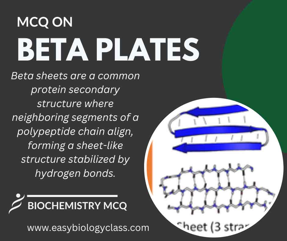 mcq on beta plates