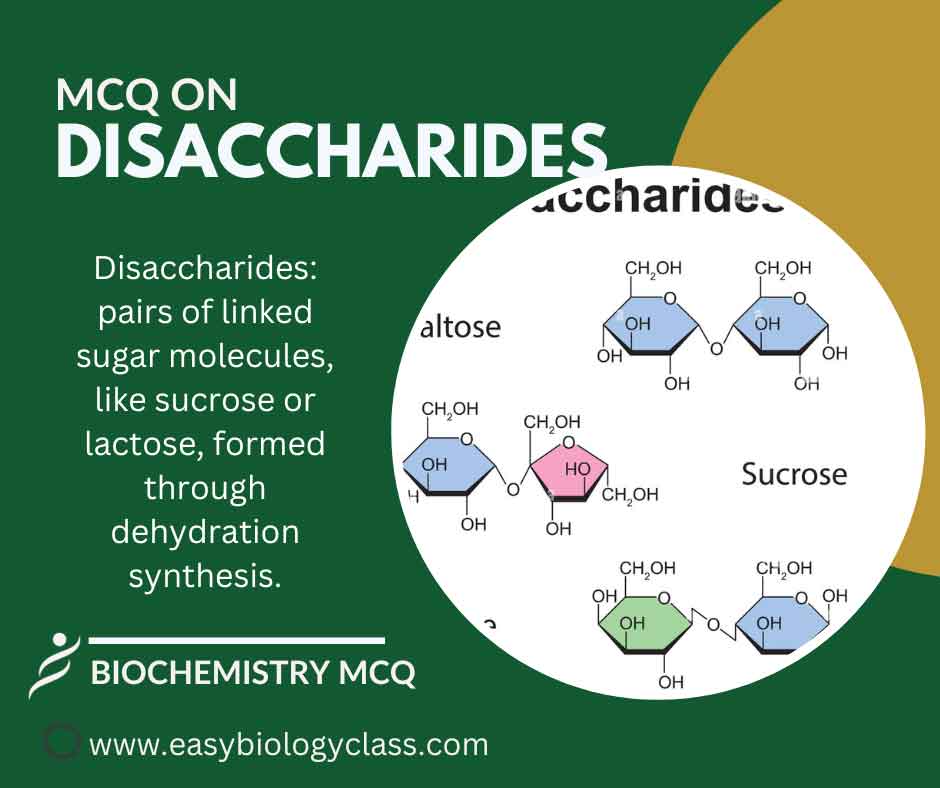 mcq on disaccharides