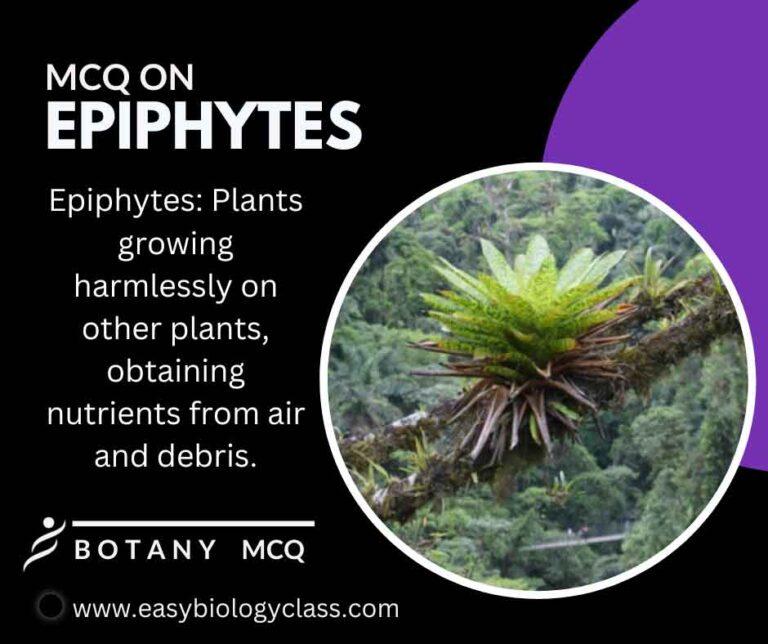 mcq on epiphytes