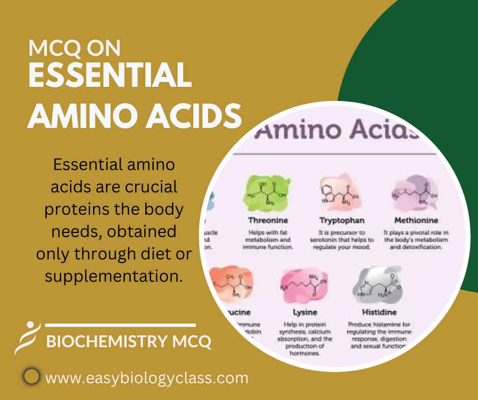 mcq on essential amino acids