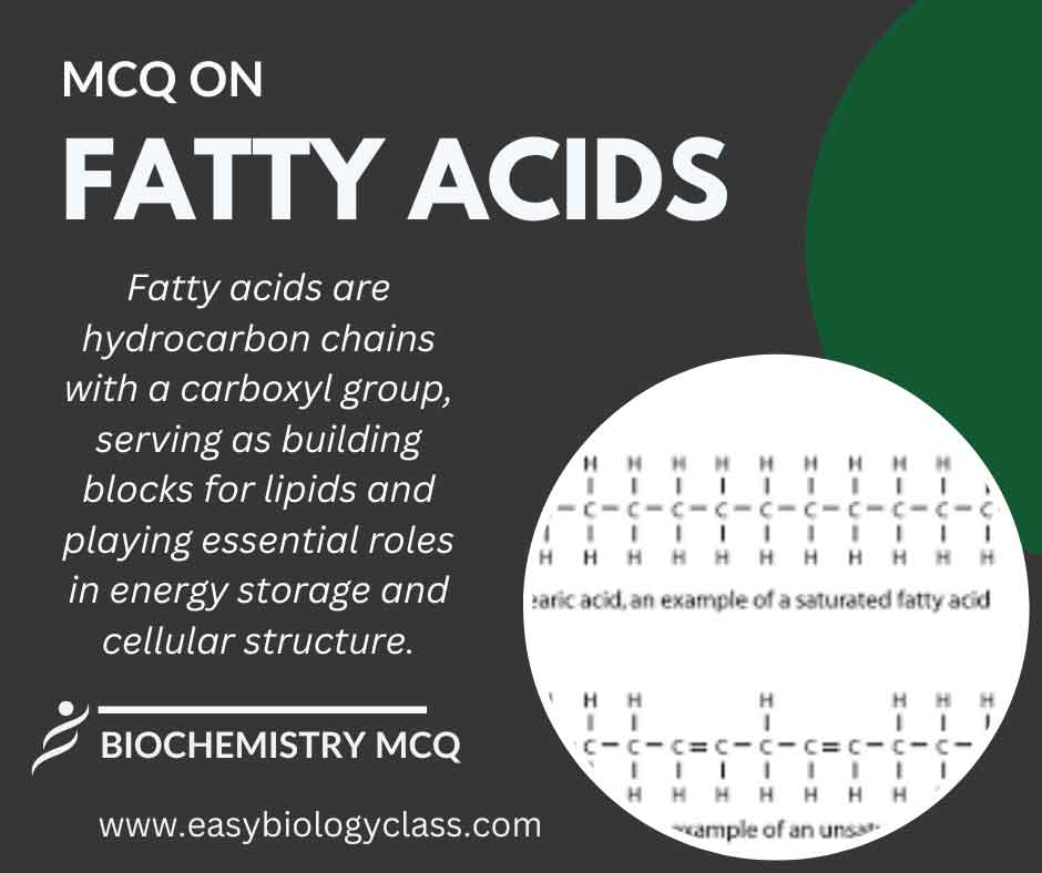 mcq on fatty acids