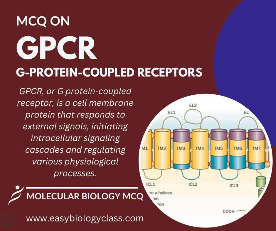 MCQ on G ProteinCoupled Receptors (GPCRs) EasyBiologyClass