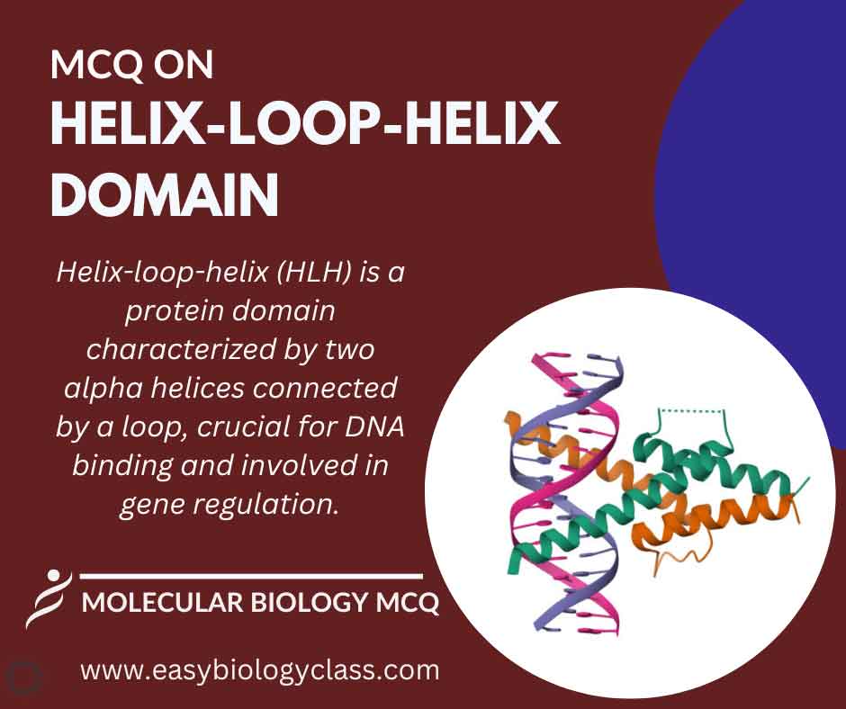 MCQ on Helix-Loop-Helix (HLH) Domain
