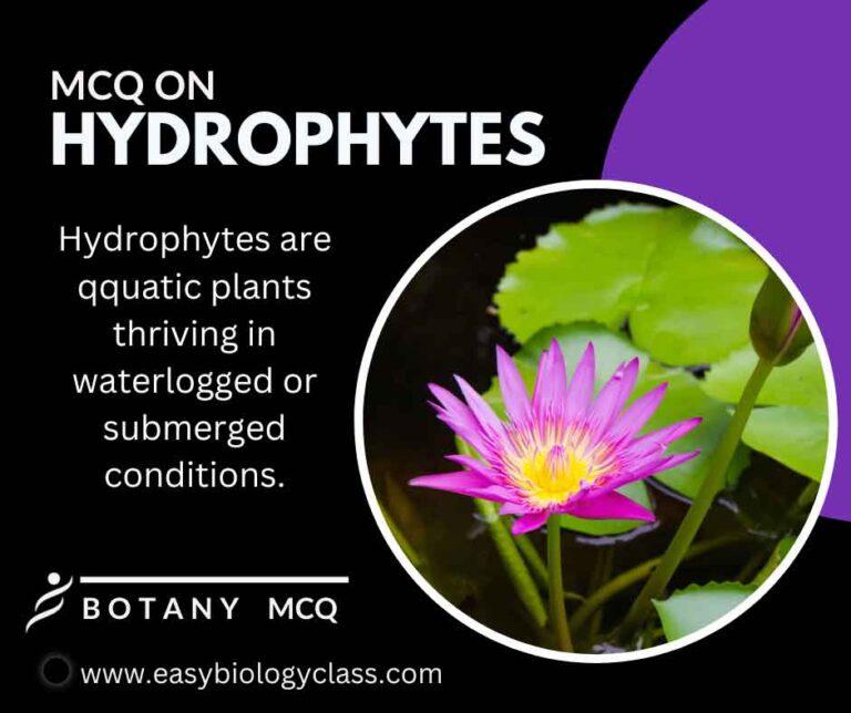 mcq on hydrophytes