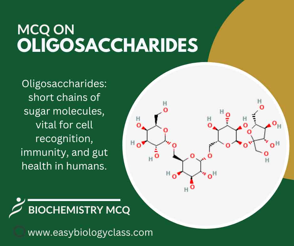 mcq on oligosaccharides