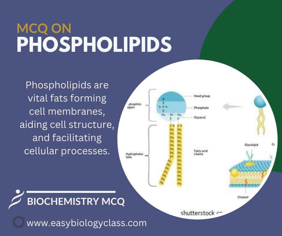 phospholipids mcq