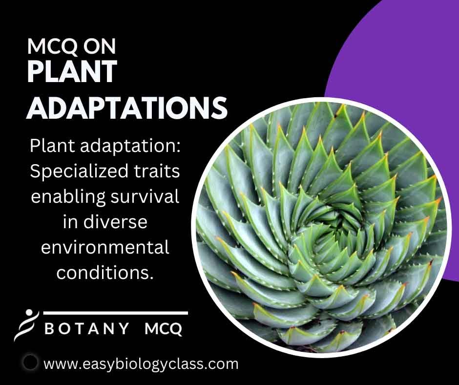 MCQ on Plant Adaptations EasyBiologyClass