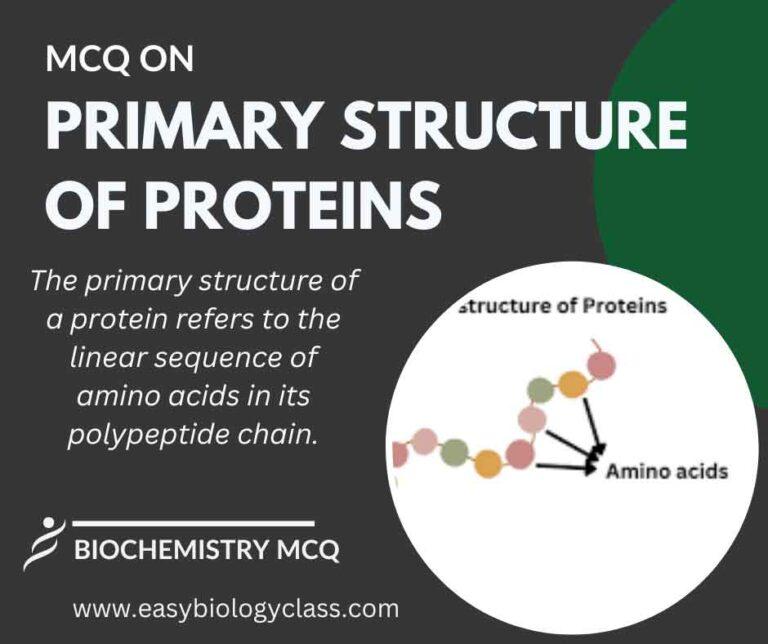 mcq on primary structure of proteins