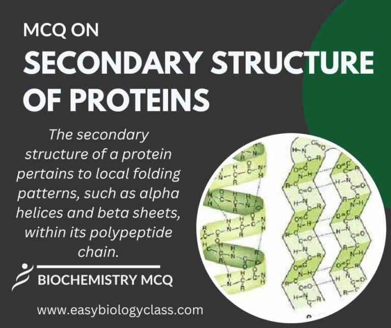 mcq on secondary structure of proteins