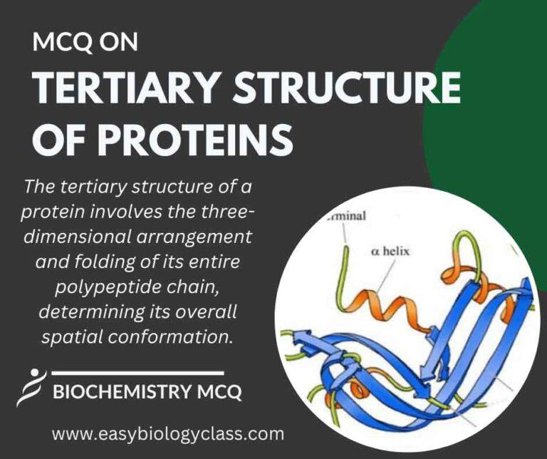mcq on tertiary structure of proteins