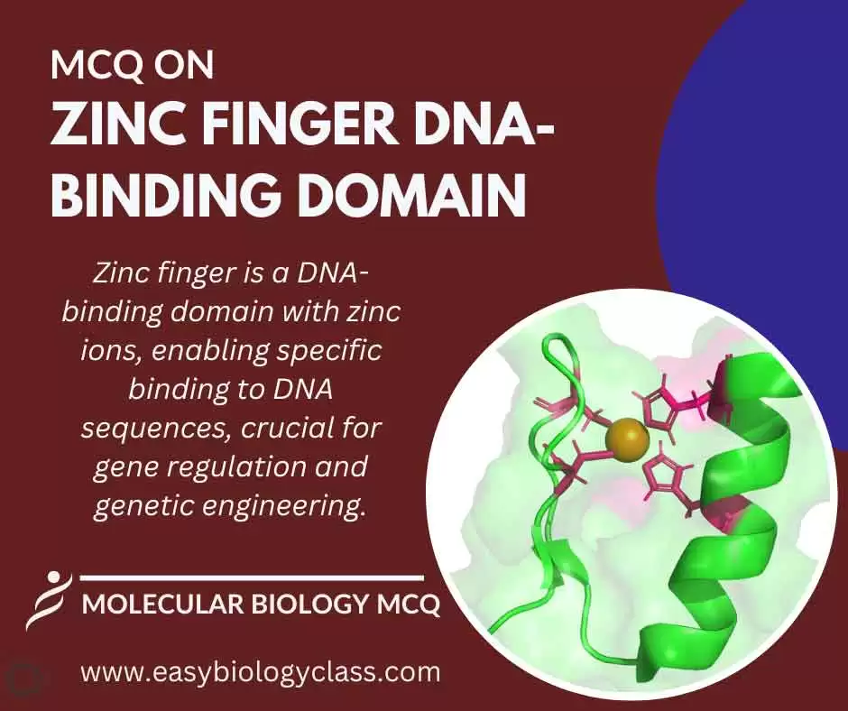 mcq on zinc finger domain