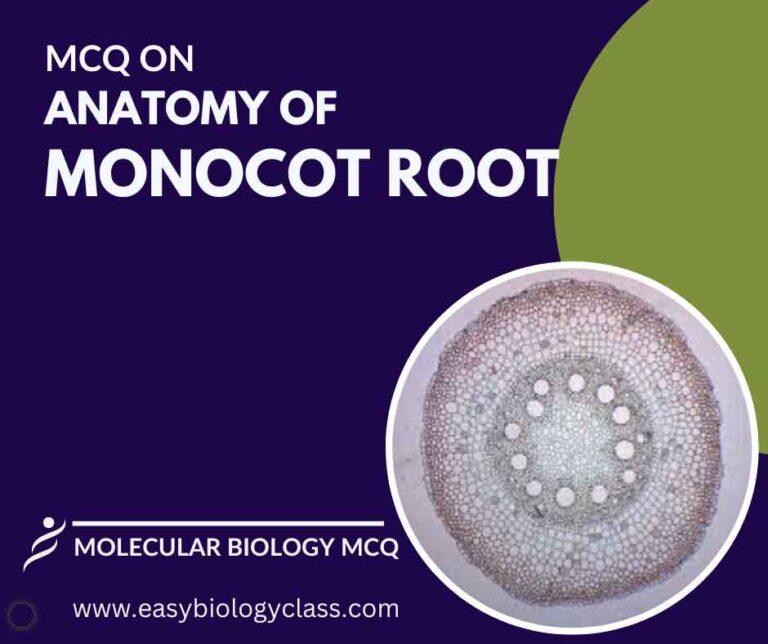 MCQ on Anatomy of Monocot Leaf