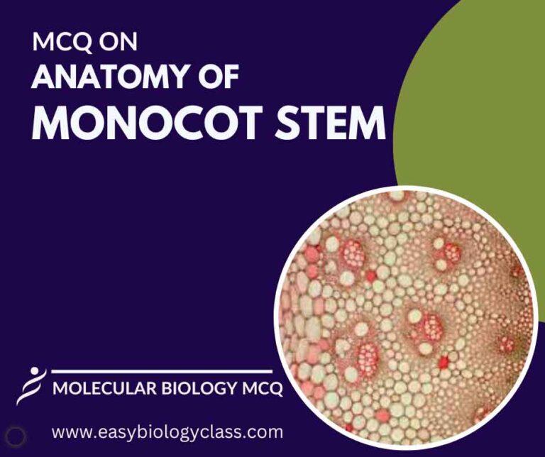 MCQ on Anatomy of Monocot Stem