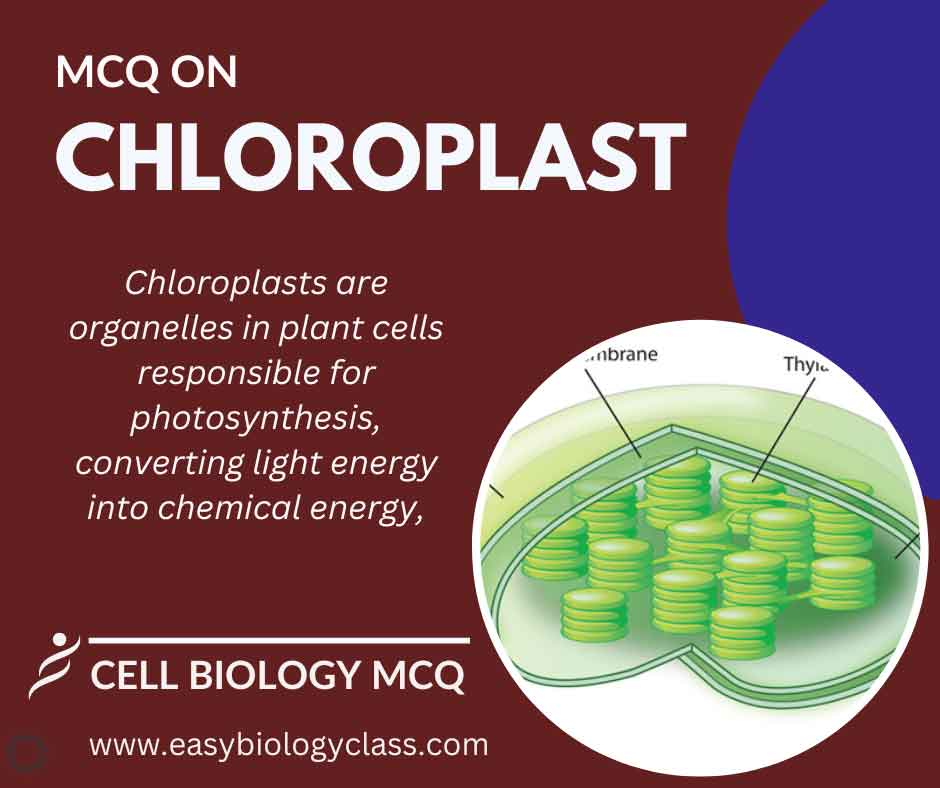 MCQ on Chloroplast