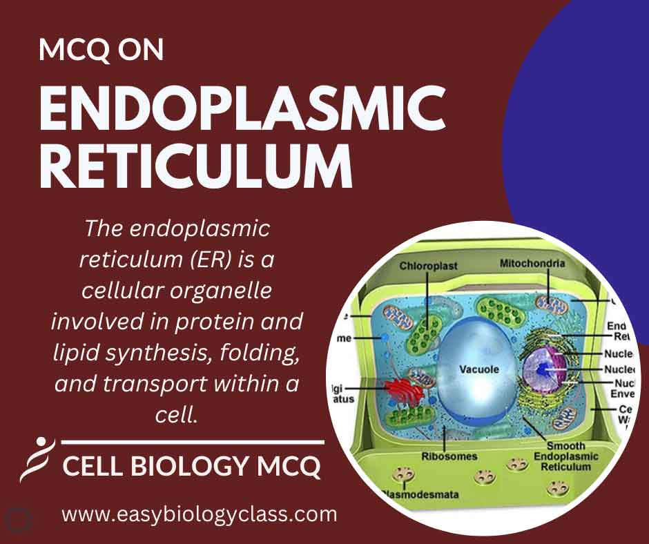 MCQ on Endoplasmic Reticulum