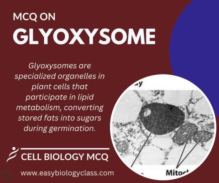 MCQ on Glyoxisomes